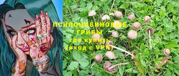мдпв Верхнеуральск