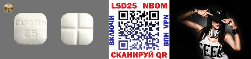 ЛСД экстази ecstasy  MEGA   Дубовка  где продают наркотики 