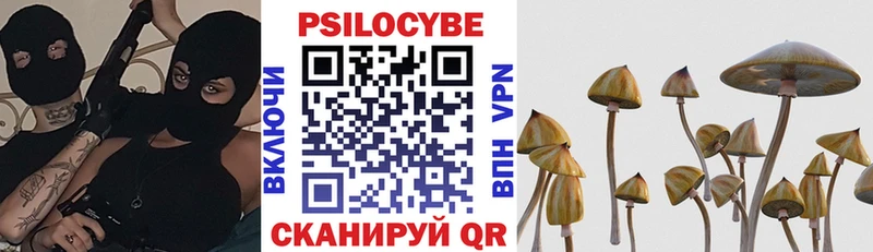 Псилоцибиновые грибы Magic Shrooms закладки Дубовка